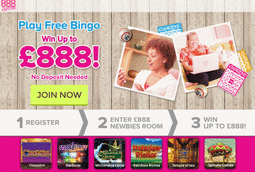 888ladies - one of the biggest bingo sites