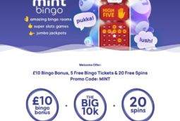 Mint Bingo - £20 Bonus